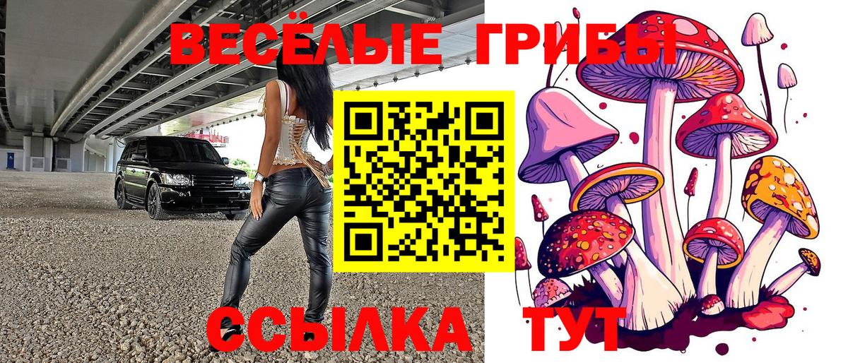 магазин продажи   Галлюциногенные грибы Cubensis  Новоуральск  Вход с VPN  Псилоцибиновые грибы Psilocybine cubensis 